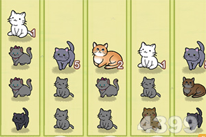 kok綜合體育官方app下載