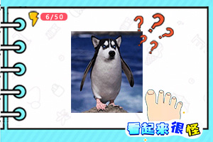 BOB半島·體育官方平臺