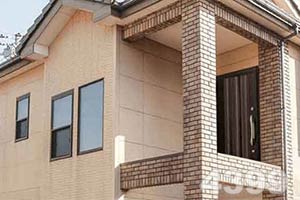 博魚中國官網下載入口