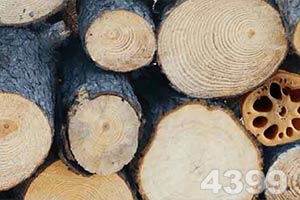 樂動體育網站官網版官方入口