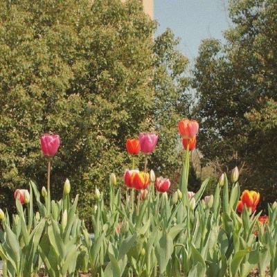 競彩足球app官網下載