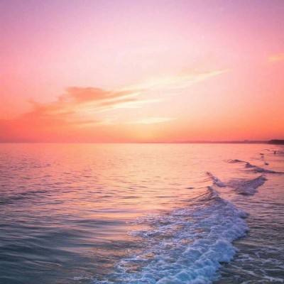 NG體育手機app下載