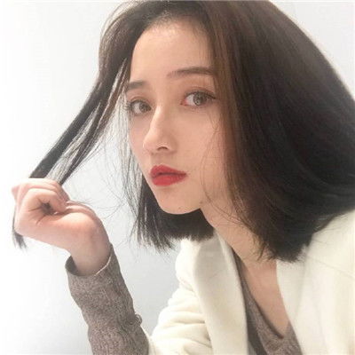 澳門天天免費資料大全下載