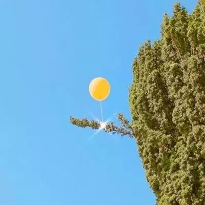 ayx在線登錄入口下載手機版