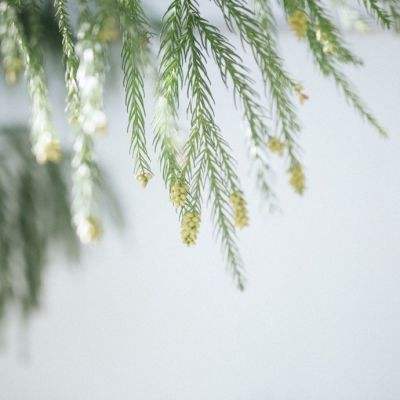 澳客APP下載官網