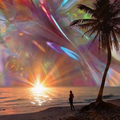 196體育軟件下載