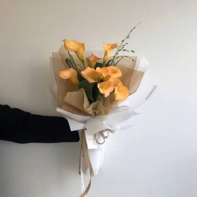 泛亞電競APP最新版