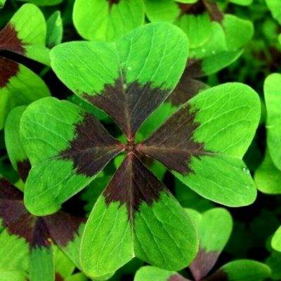 pg電子娛樂官網游戲