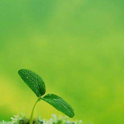 購彩中心welcome官網手機app下載