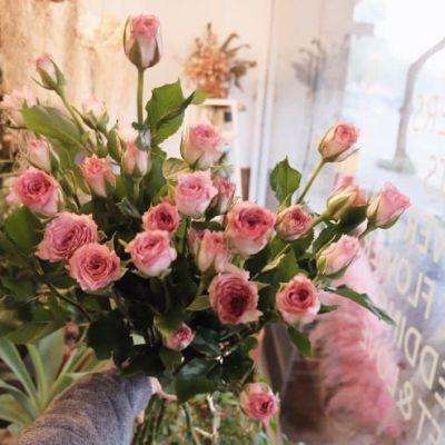 購彩中心手機app下載