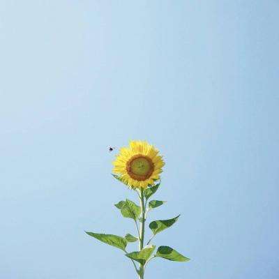 通比牛牛游戲app