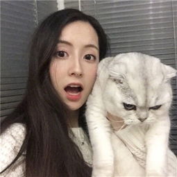 百人牛牛游戲軟件手機app下載截圖