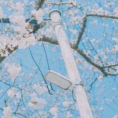 澳門精準正版資料大全