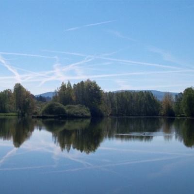 足球競彩appapp下載