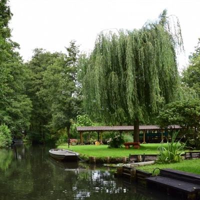 鳳凰彩票平臺下載app下載