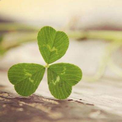 2023澳門資料大全正版app下載