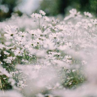 beplayapp下載登錄·官方網站