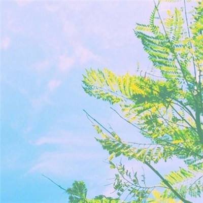 NG體育·(南宮)手機app下載