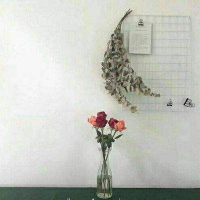 愛體育官方網站手機app下載