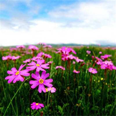 天天中彩票手機版登錄截圖