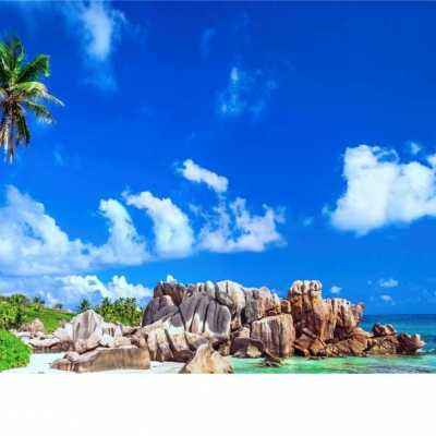 im電競·(中國)官方網站