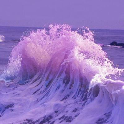 環球體育官網下載