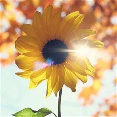 亞博棋牌app下載