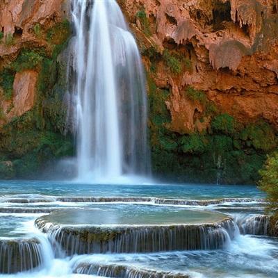 鴨脖app下載鴨脖官網