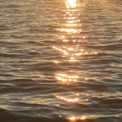 b體育官方入口在線登錄網站