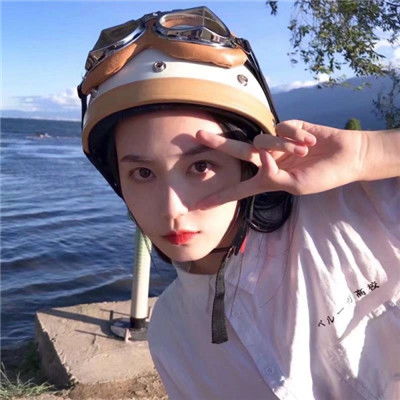 澳門精準正版資料大全下載手機版