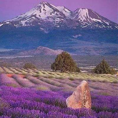 亞博AG娛樂下載手機版